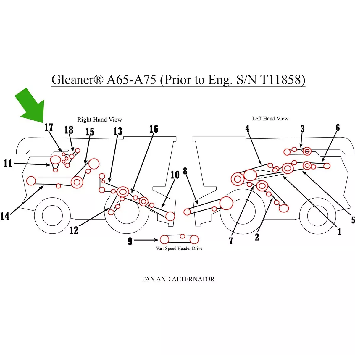 Alternator Belt for Massey Ferguson and Gleaner A65, A75+ | V685121585