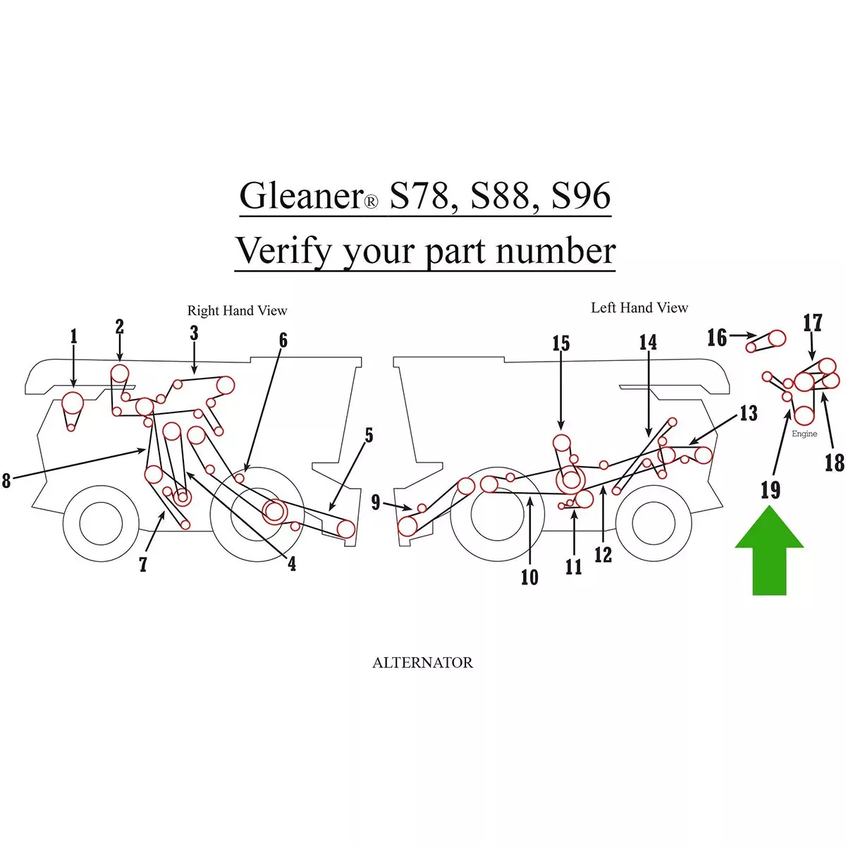 Alternator and Compressor Belt for Massey Ferguson and Gleaner | 71448150