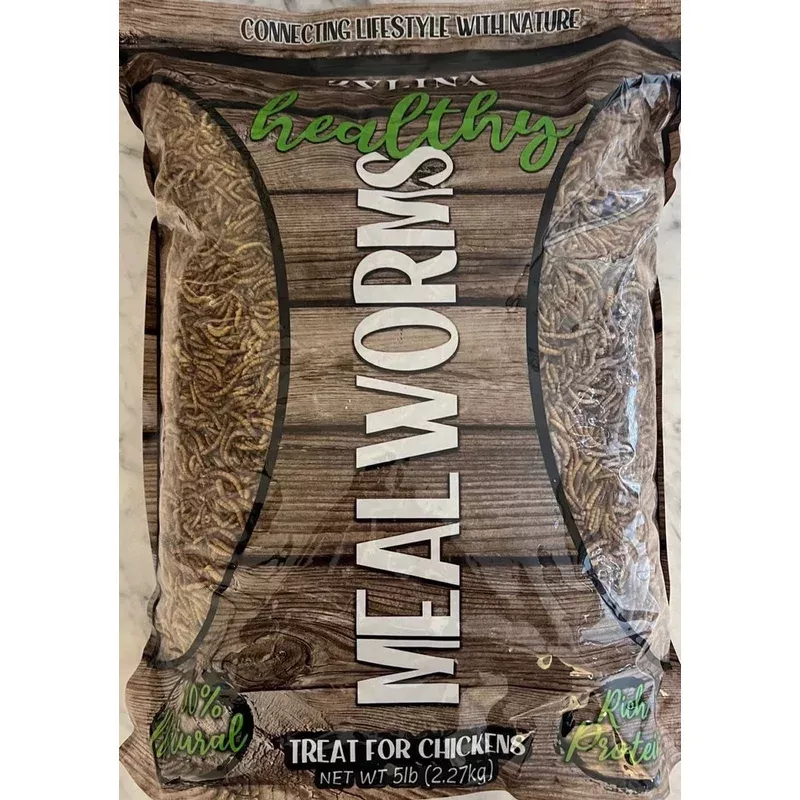 Zylina Healthy Mealworms